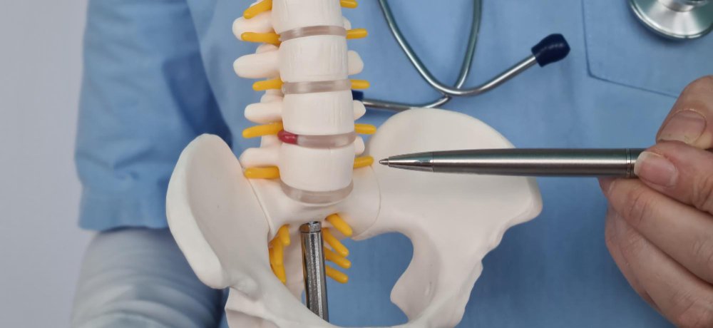 Spinal Fixation/Fusion Image